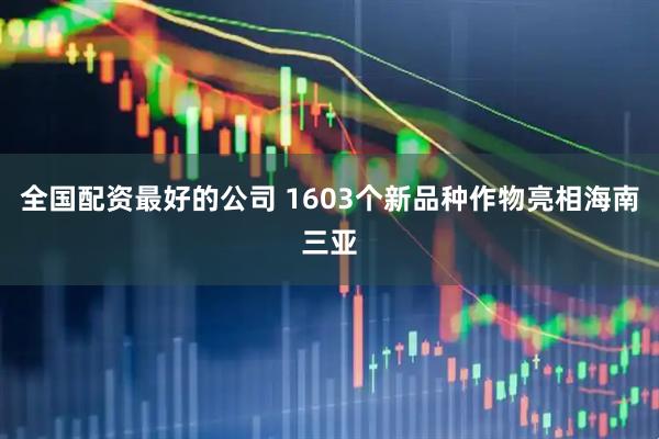 全国配资最好的公司 1603个新品种作物亮相海南三亚