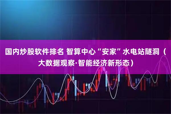 国内炒股软件排名 智算中心“安家”水电站隧洞（大数据观察·智能经济新形态）