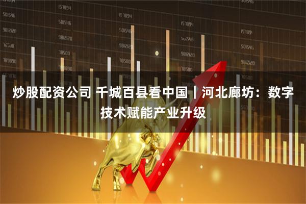 炒股配资公司 千城百县看中国｜河北廊坊：数字技术赋能产业升级